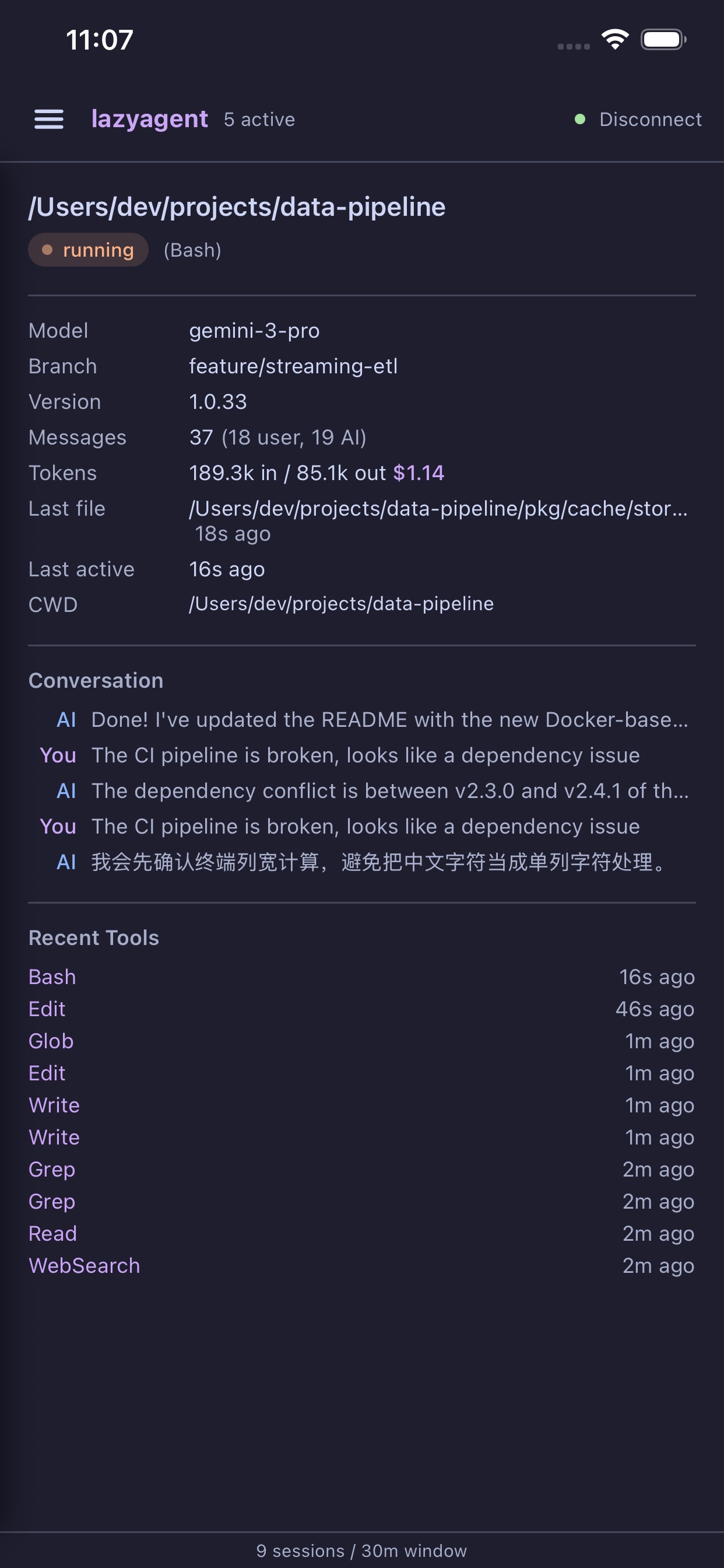 lazyagent iOS app showing session detail with tokens and conversation